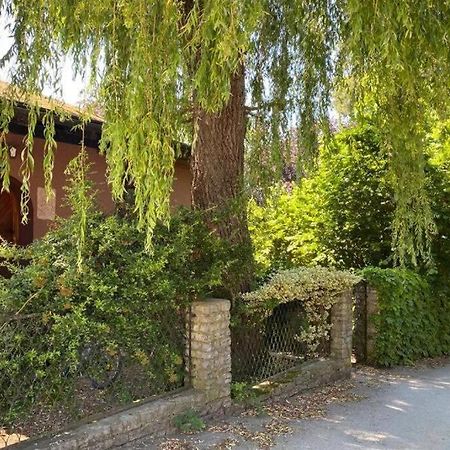 Gartenwohnung 5 Min. Zur Stadt Hagenau Eksteriør billede